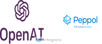 OpenAI ChatGPT + PEPPOL