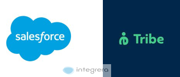 SalesForce + Tribe CRM