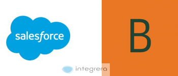 SalesForce + Winner Bizz
