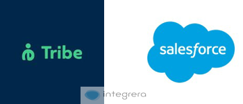 Tribe CRM + SalesForce