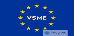 VSME