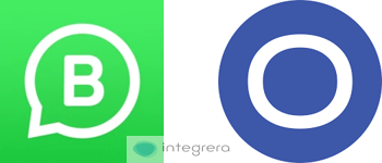 WhatsApp Business + Ongoing Warehouse