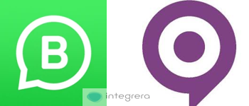 WhatsApp Business + Proff