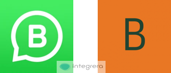 WhatsApp Business + Winner Bizz