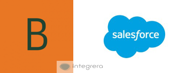 Winner Bizz + SalesForce